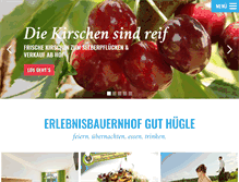 Tablet Screenshot of guthuegle.de